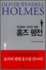 미국법의 사이비 영웅 홈즈 평전