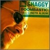 Shaggy - Boombastic