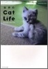 世界のCat Life