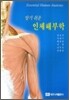 알기쉬운 인체해부학