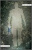 Man in the Dark