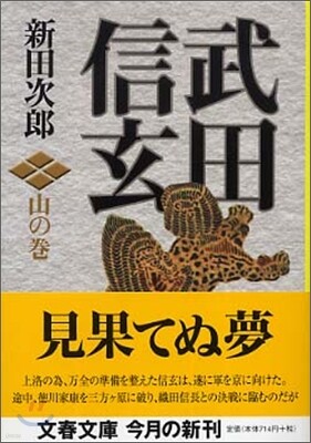 武田信玄 山の卷