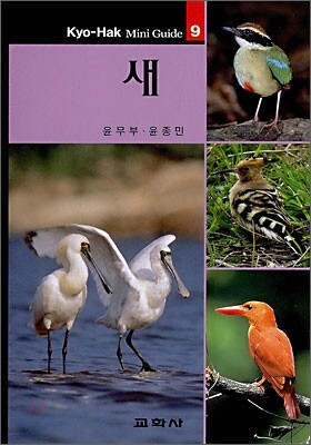 새