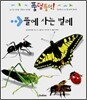 뜰에 사는 벌레
