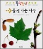 뜰에 사는 나무