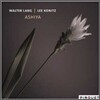 Walter Lang & Lee Konitz - Ashya