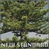 페퍼톤스 (Peppertones) 2집 - New Standard