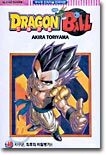 Dragon Ball 드래곤 볼 40