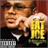 Fat Joe - Elephant In The Room