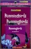 [Brain Bank] GK Science 20 : Hummingbirds