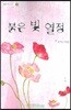 붉은 빛 열정