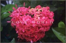 LOVE WORLD 大塚愛作品集