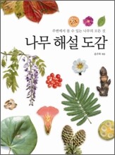 나무 해설 도감