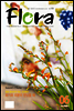 월간 FLORA 2009년 6월호