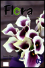 월간 FLORA 2009년 5월호