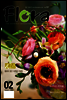 월간 FLORA 2009년 2월호