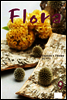 월간 FLORA 2008년 9월호