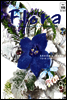 월간 FLORA 2008년 8월호