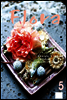월간 FLORA 2008년 5월호