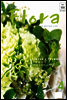 월간 FLORA 2008년 4월호