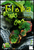 월간 FLORA 2007년 7월호