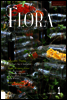월간 FLORA 2007년 1월호