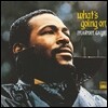 Marvin Gaye (마빈 게이) - What's Going On [LP]