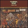 Marvin Gaye (마빈 게이) - I Want You [LP]