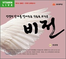 비전