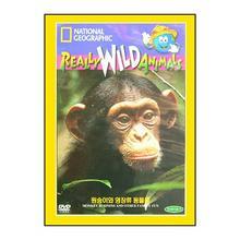 Really Wild Animals - 원숭이와 영장류 동물들