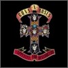 Guns N' Roses - Appetite For Destruction