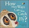 How Many Ways Can You Catch a Fly?