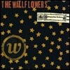 Wallflowers (월플라워스) - Bringing Down The Horse [20th Anniversary LP Edition]