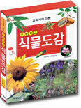 초등학교 식물도감