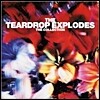 Teardrop Explodes - The Collection (미개봉)