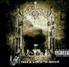 [중고] Korn / Take A Look In The Mirror (CD+DVD/Digipack)