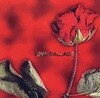 [중고] V.A. / Love Ballads