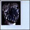 Head Wound City - New Wave Of Violence (LP)