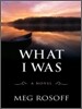 What I Was