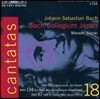 Robin Blaze 바흐: 칸타타 18권 (Bach: Cantatas Vol. 18)