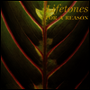 Lifetones - For A Reason (Remastered)(Download Code)(Gatefold)(180G)(LP)