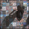 Pink Floyd (핑크 플로이드) - The Best Of Pink Floyd: A Foot In the Door