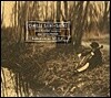 생상 : 첼로 소나타 1번 OP.32, 로망스 OP.36