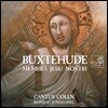 Johanna Koslowsky 디트리히 북스테후데: 우리 주 예수의 육신 (Dietrich Buxtehude: Membra Jesu nostri)