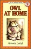Owl at Home