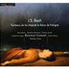 Ricercar Consort 바흐: 미사곡, 칸타타 (J.S.Bach: Missa BWV234, Cantata BWV198)
