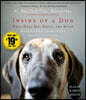Inside of a Dog: What Dogs See, Smell, and Know