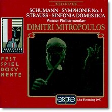 슈만 / R.슈트라우스 : 교향곡 1번 / 가정 교향곡