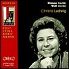 Erik Werba 볼프 / 슈트라우스: 가곡집 (Wolf / Strauss : Lieder)