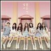 소나무 - 넘나 좋은 것 [일반반]